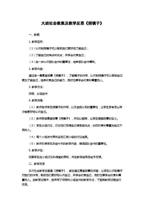 大班社会教案及教学反思《照镜子》