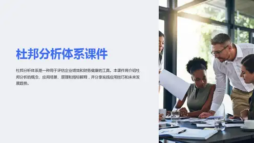 杜邦分析体系课件