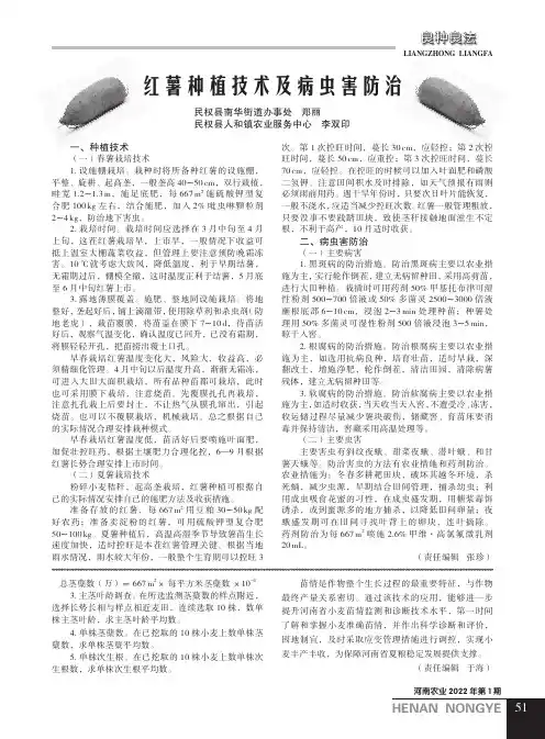 红薯种植技术及病虫害防治