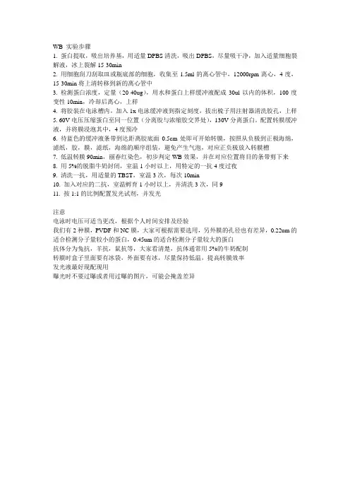 WB实验步骤
