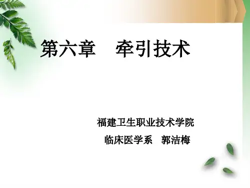 《牵引技术》ppt课件
