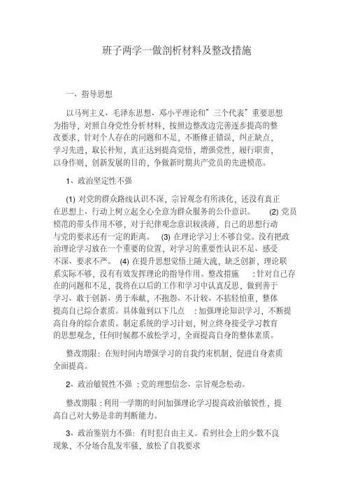 班子两学一做剖析材料及整改措施