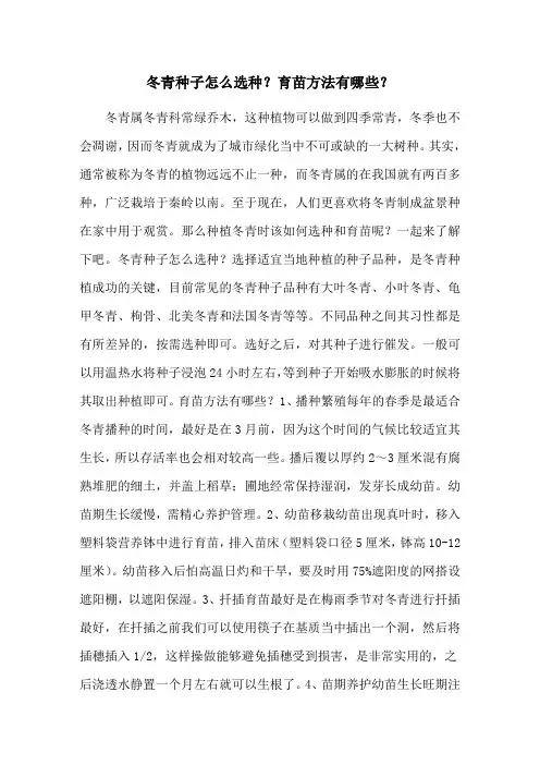 冬青种子怎么选种？育苗方法有哪些？