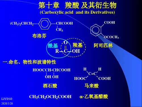 四川大学有机化学第十章