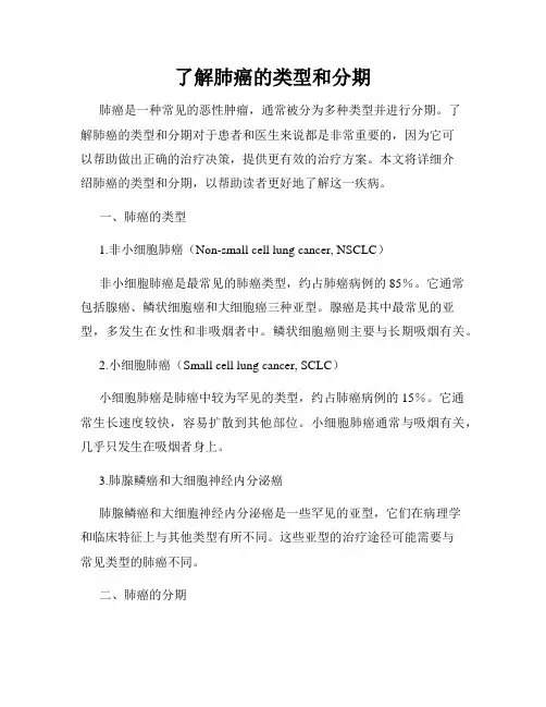 了解肺癌的类型和分期
