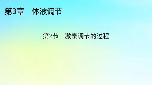 新教材2024版高中生物第3章体液调节第2节激素调节的过程课件新人教版选择性必修1