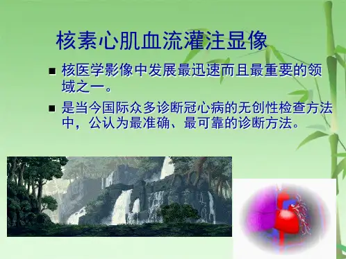 潘生丁负荷心肌灌注显像(共32张PPT)