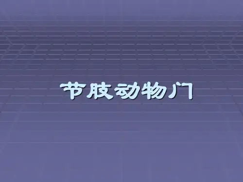 普通动物学节肢动物门PPT课件