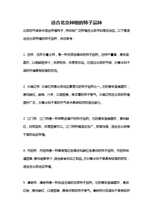适合北京种植的柿子品种