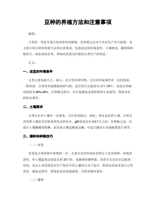豆种的养殖方法和注意事项