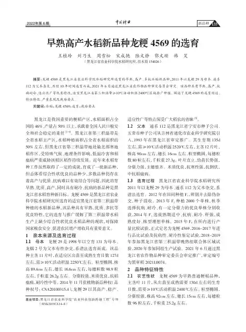 早熟高产水稻新品种龙粳4569的选育