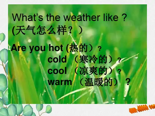 《Unit 2 Spring is warm》课件 (省一等奖)2022年湘少版PPT.3
