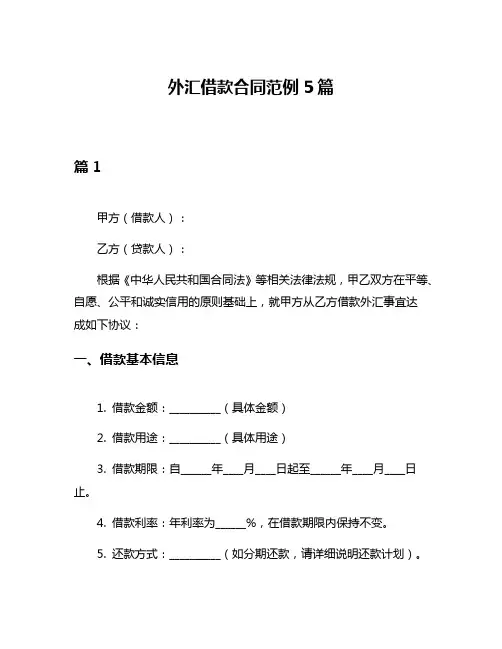 外汇借款合同范例5篇