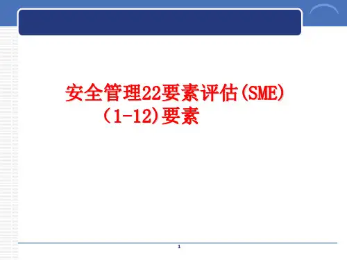 安全管理22要素评估(SME)要素