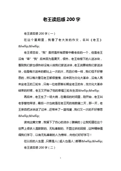 老王读后感200字