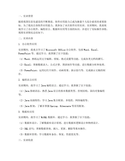 软件应用实训总结报告