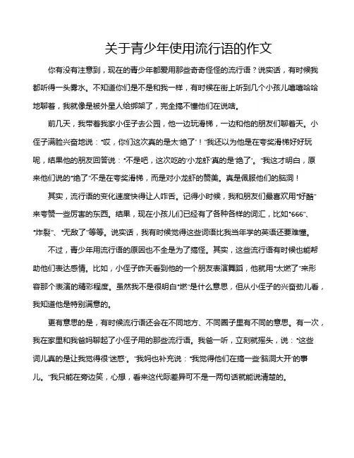 关于青少年使用流行语的作文