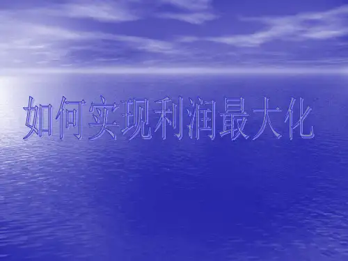 如何实现利润最大化