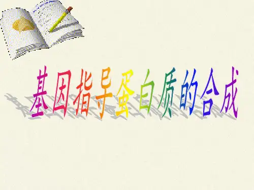 高中生物必修二课件-4.3.1从基因到蛋白质-苏教版