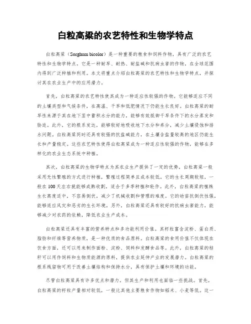 白粒高粱的农艺特性和生物学特点