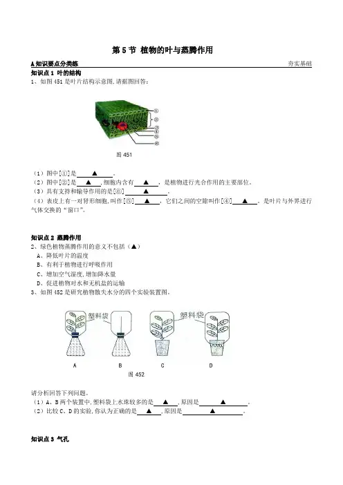 8.4.5植物的叶与蒸腾作用(原卷版)