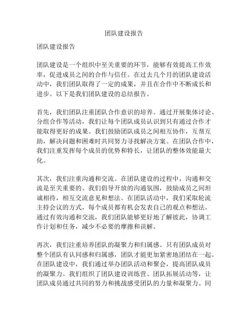 团队建设报告