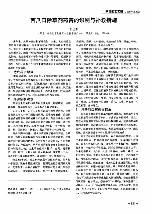 西瓜田除草剂药害的识别与补救措施