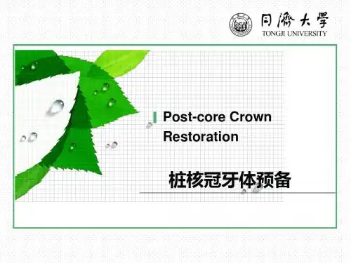 桩冠牙体预备