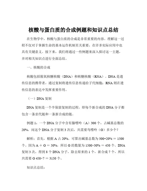 核酸与蛋白质的合成例题和知识点总结