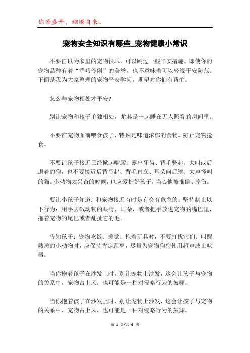 宠物安全知识有哪些_宠物健康小常识