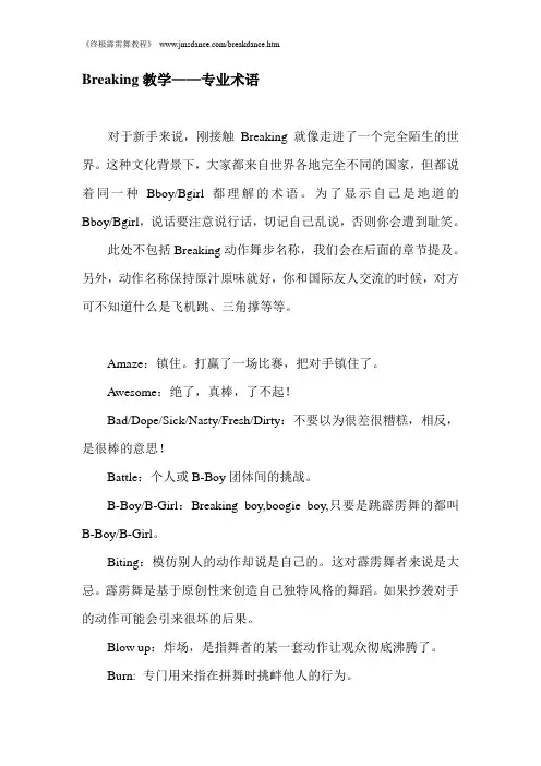 Breaking教学——专业术语