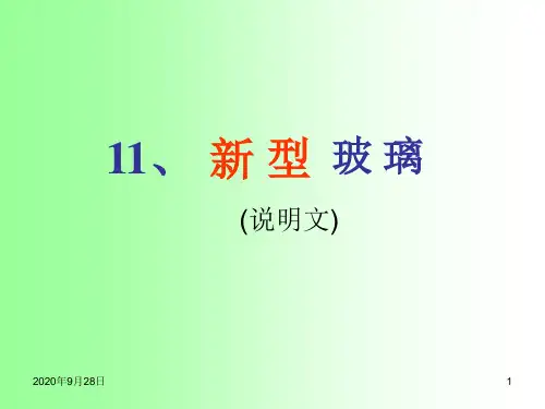 11新型玻璃2报告PPT课件