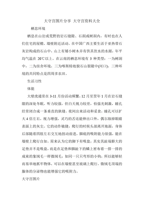 大守宫图片分享 大守宫资料大全