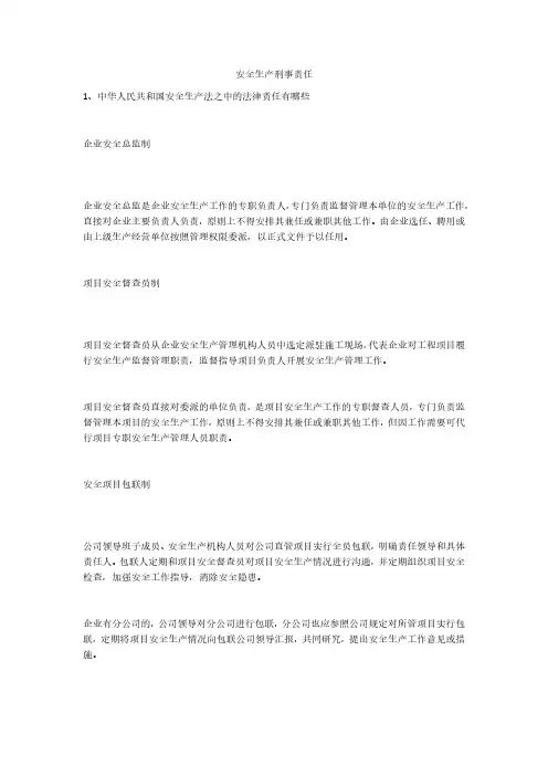 安全生产刑事责任安全生产