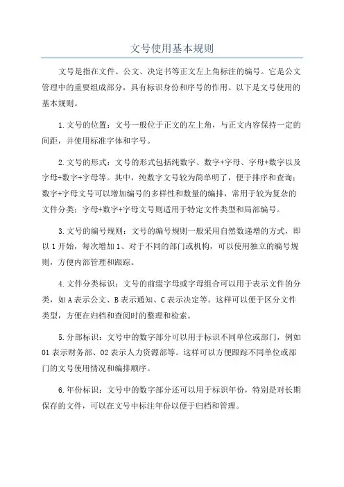 文号使用基本规则