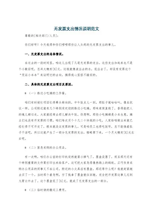 无发票支出情况说明范文