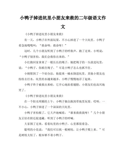 小鸭子掉进坑里小朋友来救的二年级语文作文