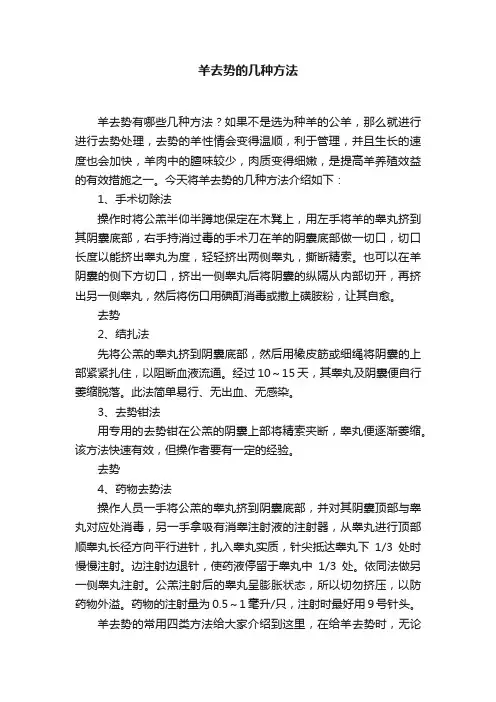 羊去势的几种方法