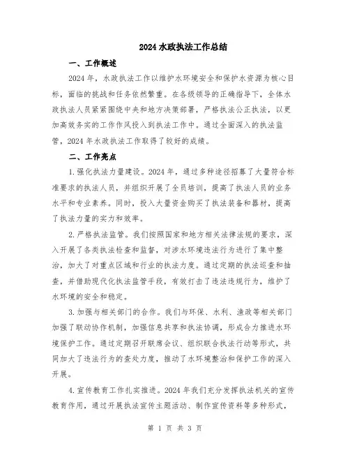2024水政执法工作总结