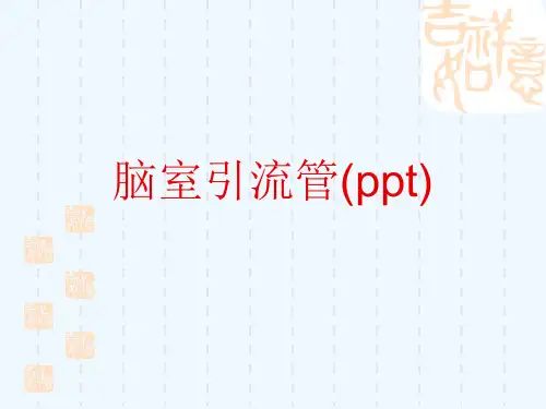 脑室引流管(ppt)