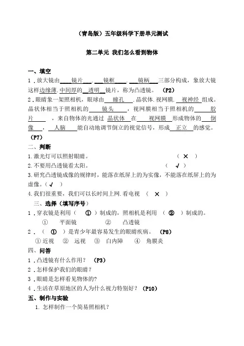 (青岛版)五年级科学下册第二单元我们怎么看到物体