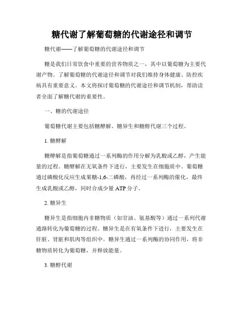 糖代谢了解葡萄糖的代谢途径和调节