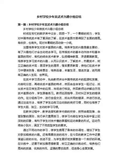 乡村学校少年宫武术兴趣小组总结