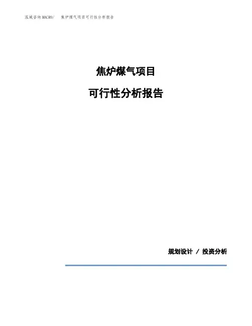 焦炉煤气项目可行性分析报告(模板参考范文)