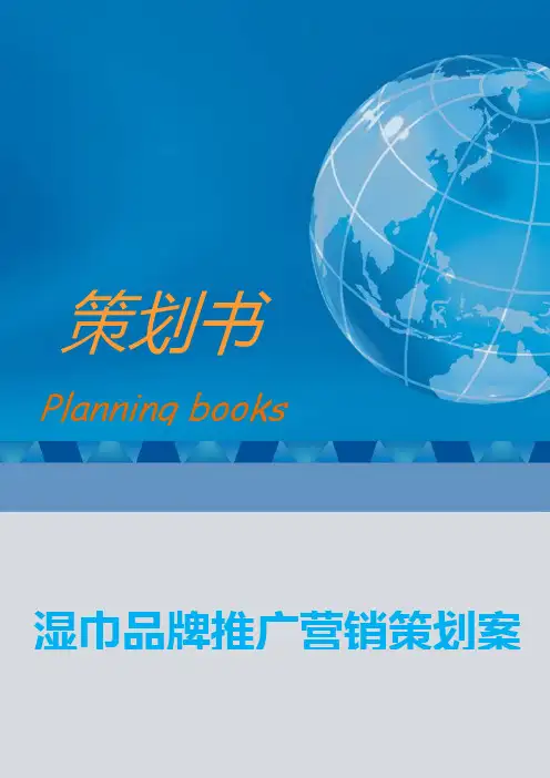 湿巾品牌推广营销策划案