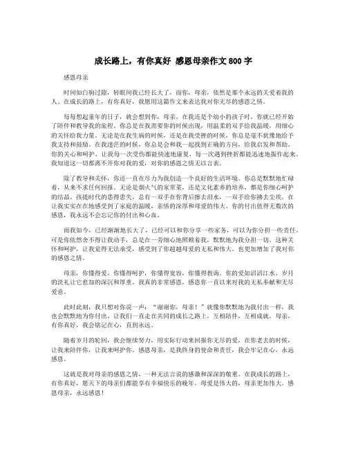 成长路上,有你真好 感恩母亲作文800字