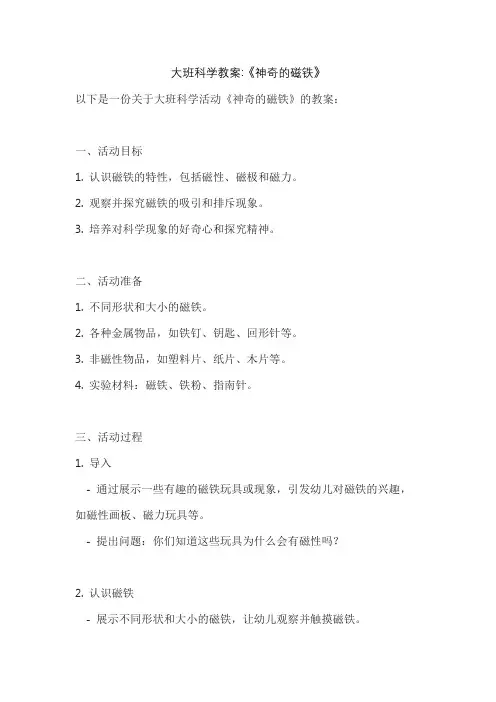 大班科学教案《神奇的磁铁》