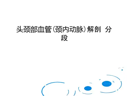 头颈部血管(颈内动脉)解剖-分段课件