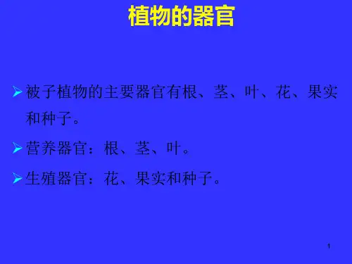 0021第一章 植物学基础-营养器官PPT课件