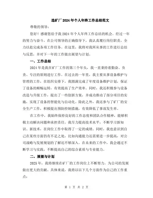 选矿厂2024年个人年终工作总结范文